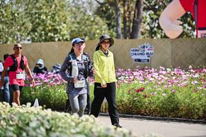 BIB: 
                            <button type="button" onclick="openModal(27799405)" class="btn btn-primary btn-sm float-right btn-popup" data-toggle="modal" data-target=".modal-high-quality">
                        <i class="fas fa-shopping-cart"></i> Add to Cart
                    </button>
                                            <button type="button" onclick="isThisMe(27799405, true)" class="btn btn-success btn-sm float-right btn-popup btn-isme hidden" data-toggle="tooltip" data-placement="bottom" title="นี่คือรูปของคุณใช่ไหม คลิกที่นี่เพื่อเอาเข้าอัลบั้ม">
                        <i class="fas fa-plus"></i> Add to album
                    </button>
                    <button type="button" onclick="isThisMe(27799405, false)" class="btn btn-warning btn-sm float-right btn-popup btn-isnotme hidden">
                        <i class="fas fa-ban"></i> Remove from album
                    </button>